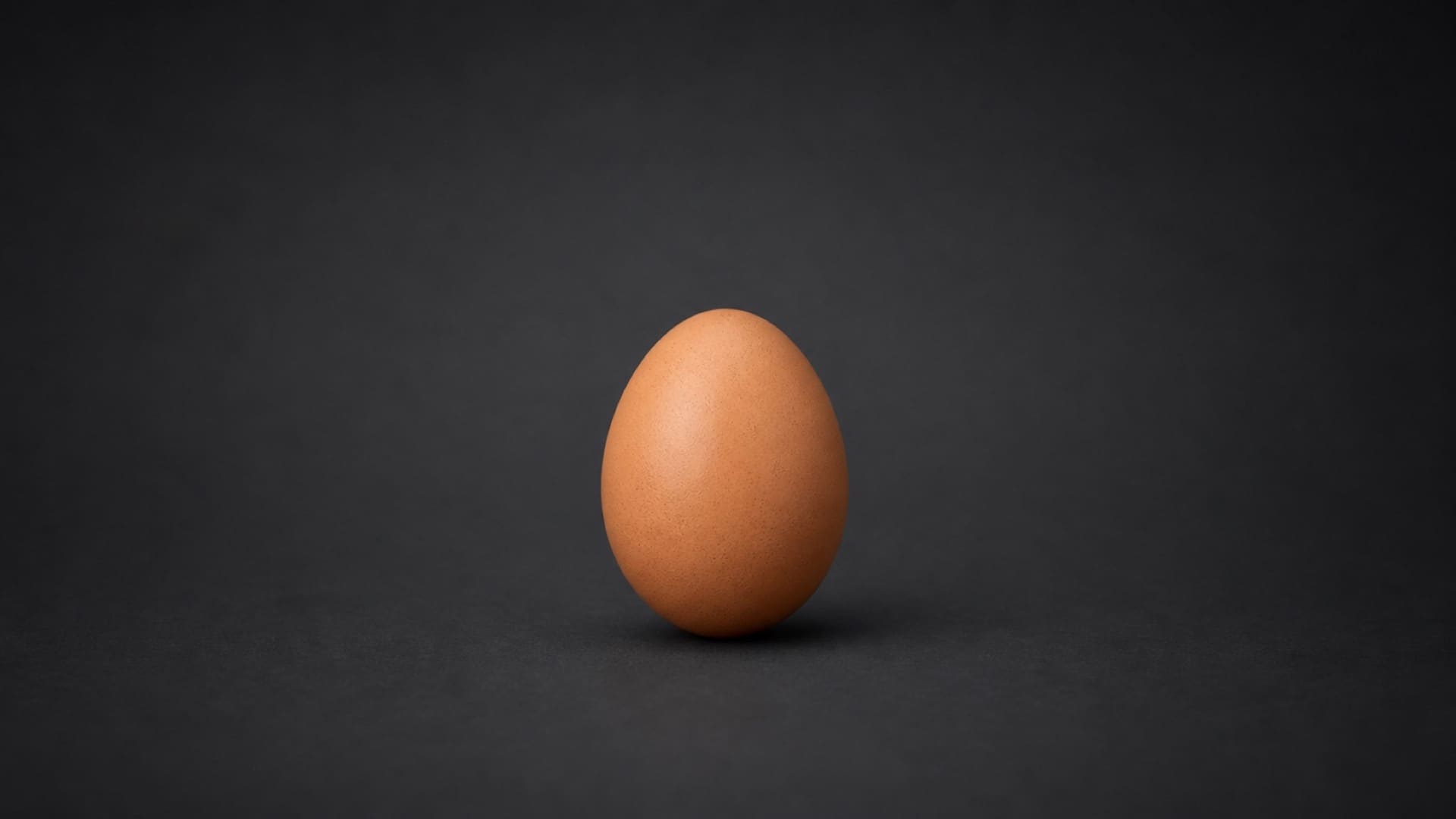 Huevo de gallina grande