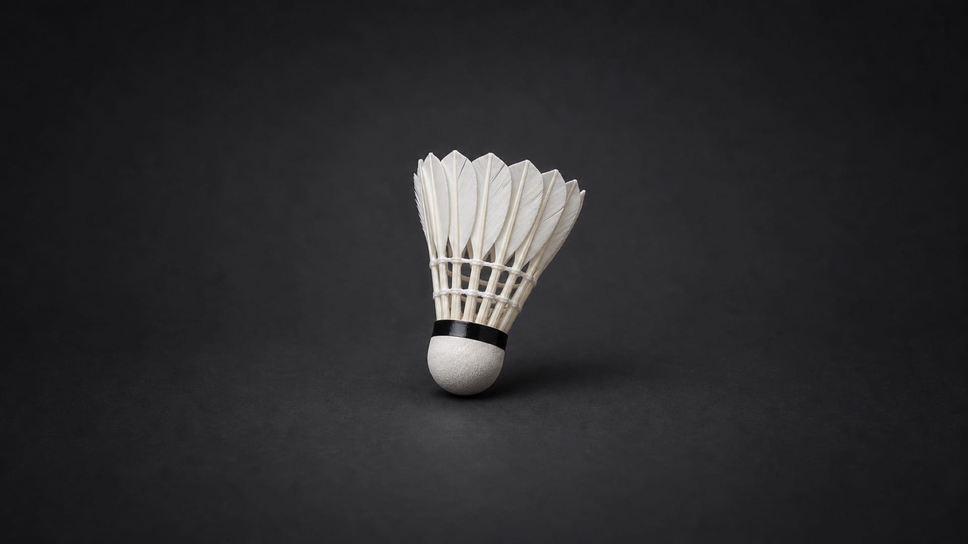 Offizieller Badminton-Federball