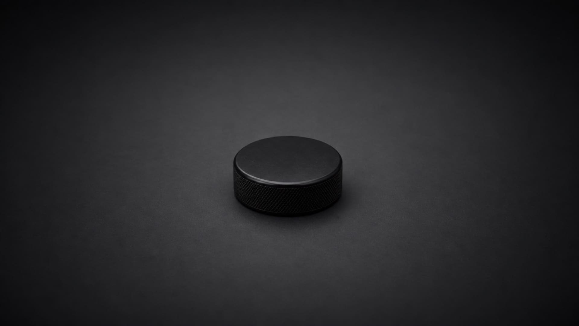 Offizieller Eishockey-Puck