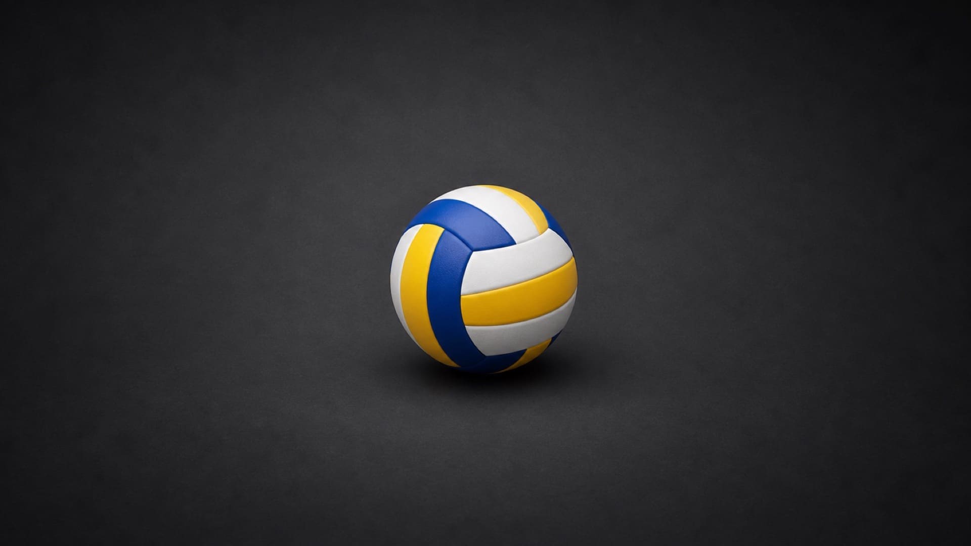 Offizieller Volleyball