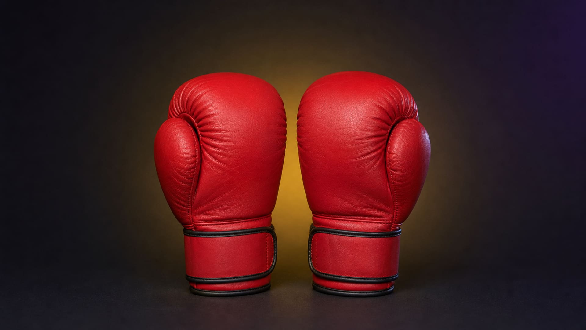 Pair of 454 g (16 oz) sparring gloves