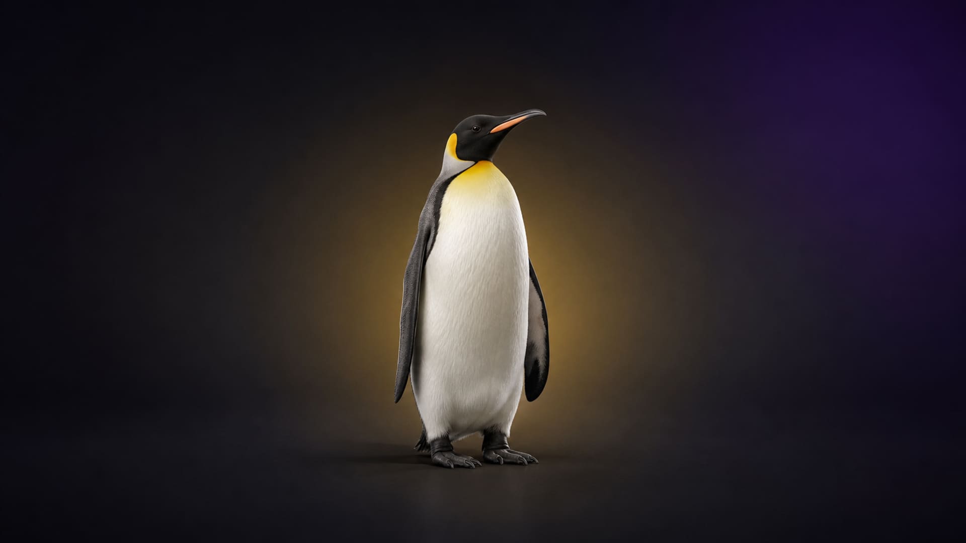 Emperor penguin