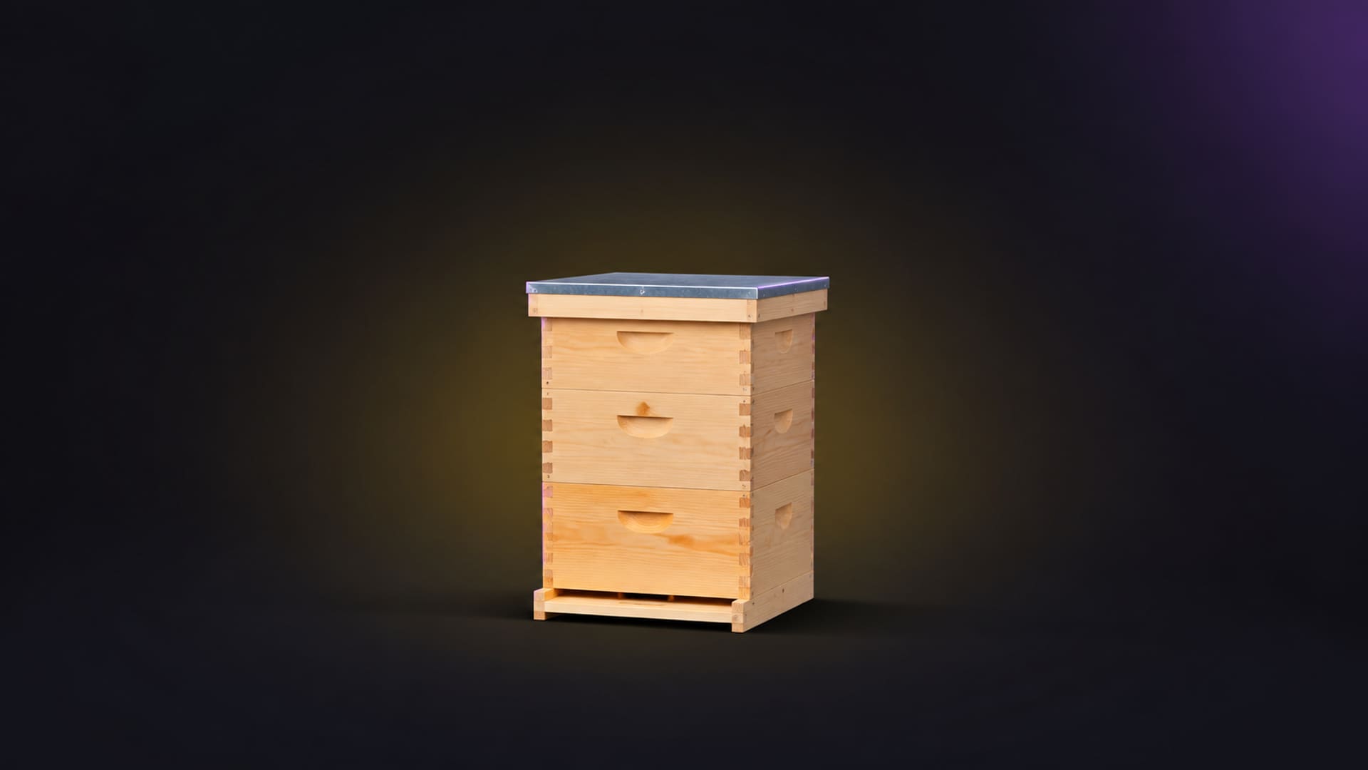 Full beehive