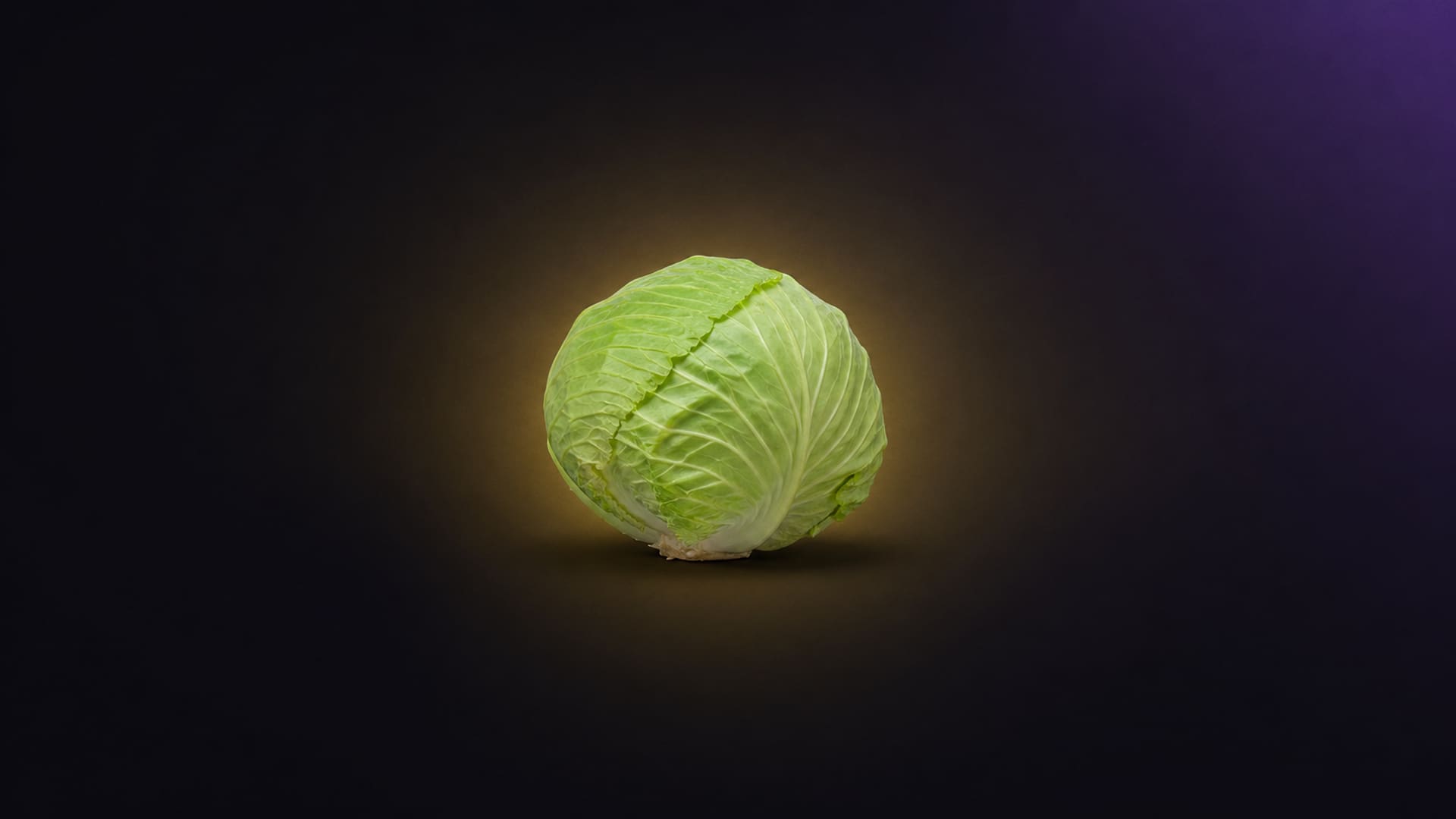 Head of cabbage