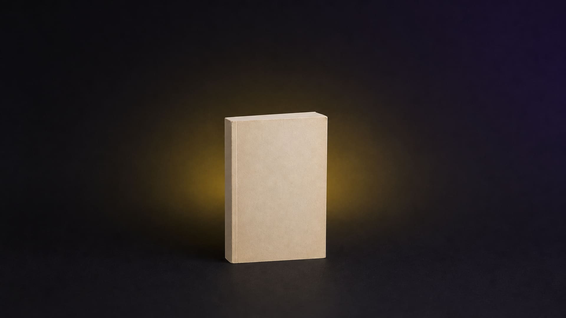 Paperback novel
