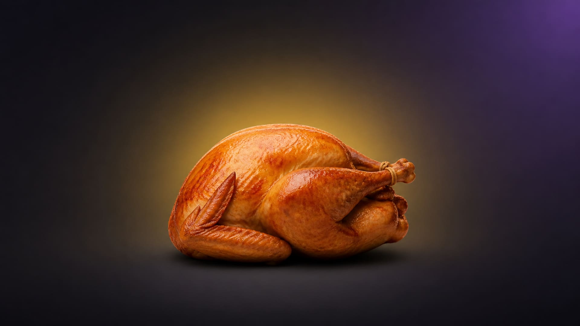 Thanksgiving turkey