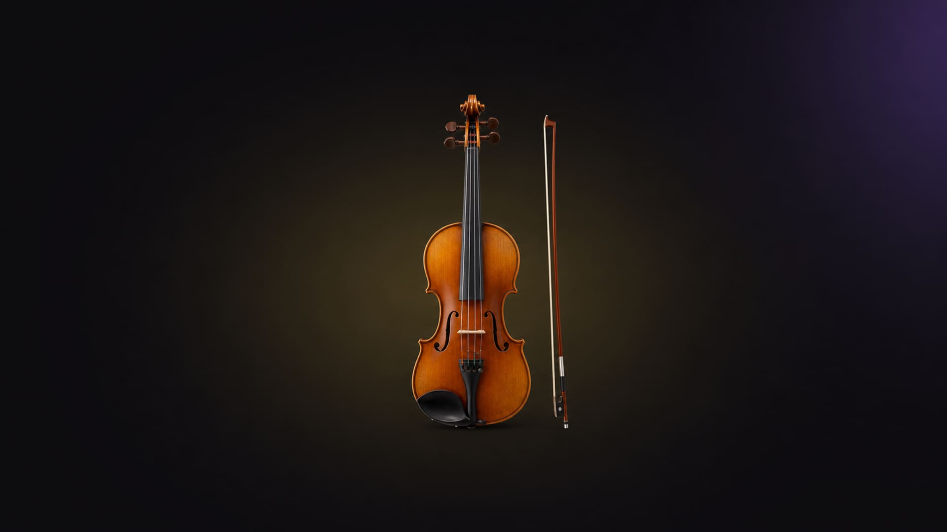Violin