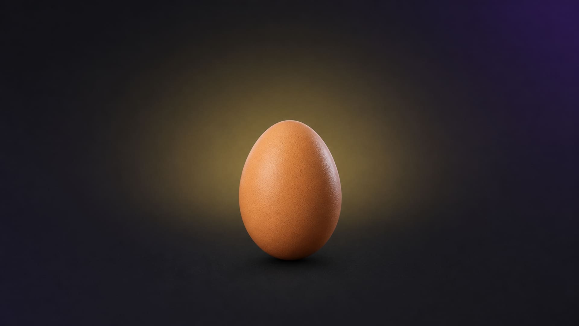 Large chicken egg